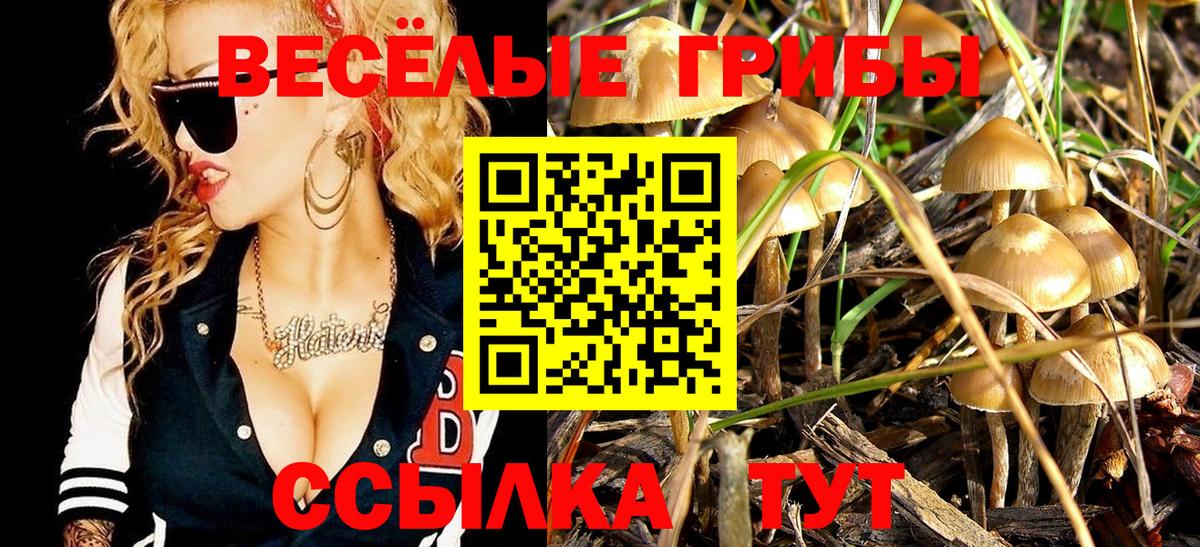 Галлюциногенные грибы прущие грибы Курчалой