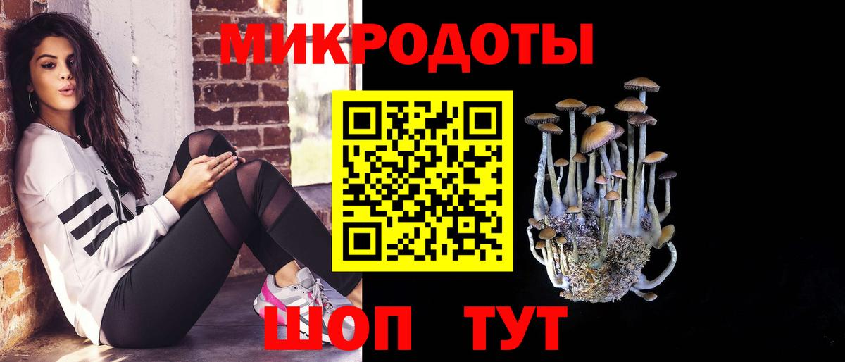 Псилоцибиновые грибы Psilocybe  Вход с VPN  Курчалой 